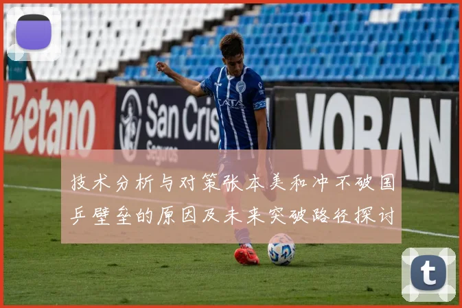 技术分析与对策张本美和冲不破国乒壁垒的原因及未来突破路径探讨