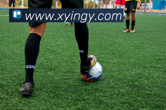 必一运动平台生态图